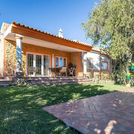 V4 Maximo * 알부페이라