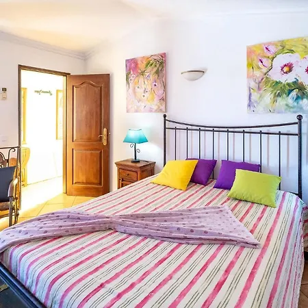 V4 Maximo 알부페이라