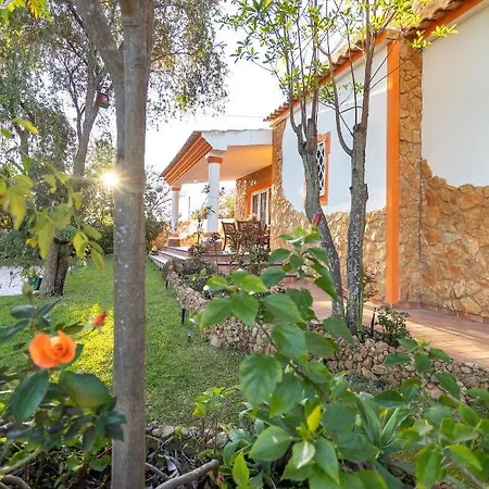 V4 Maximo Villa