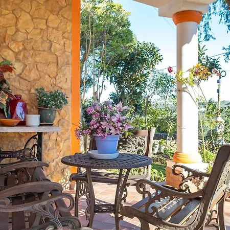 V4 Maximo 알부페이라